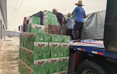 Hvor blev de 70 g spinatnudler af efter at være blevet læsset i Qinhuangdao? Hvordan betjener Dongyang Food samtidig både indenlandske og internationale markeder?