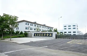 Med en investering på 250 millioner RMB og en 40.000㎡ fabrik har Dongyang Foods bygget et stærkt fundament for højkvalitets instant nudelproduktion.