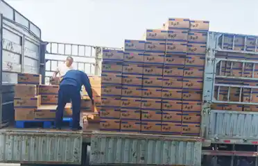 Hvor mange checkpoints skal en Mala Tang (spicy hot pot) nudelpandekage igennem, før den læsses på en lastbil i Shenyang?