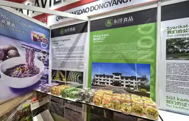 Leder du efter at finde ikke-stegte nudler i Malaysia? Qinhuangdao Dongyang Food Showcases på International Halal Exhibition